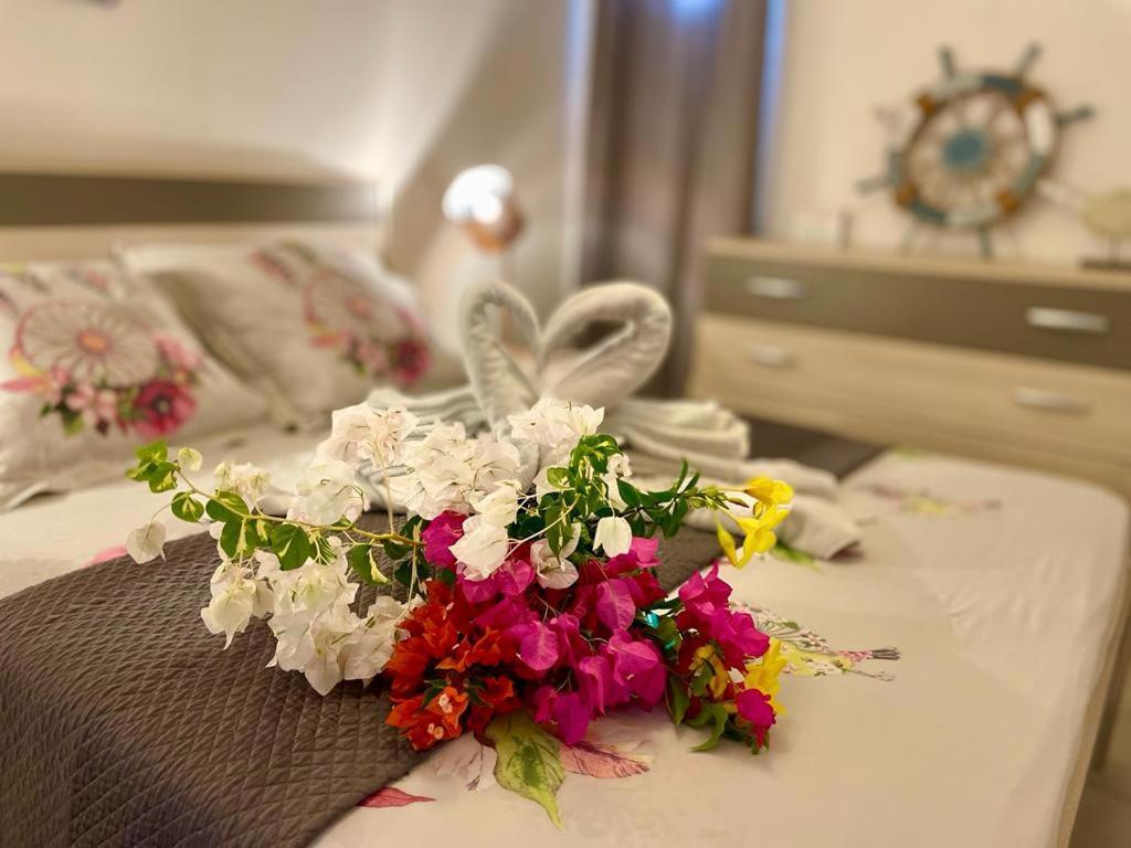 La Playa - L'Appartement Cozy - 2 A 5 Personnes Сент-Анн Экстерьер фото