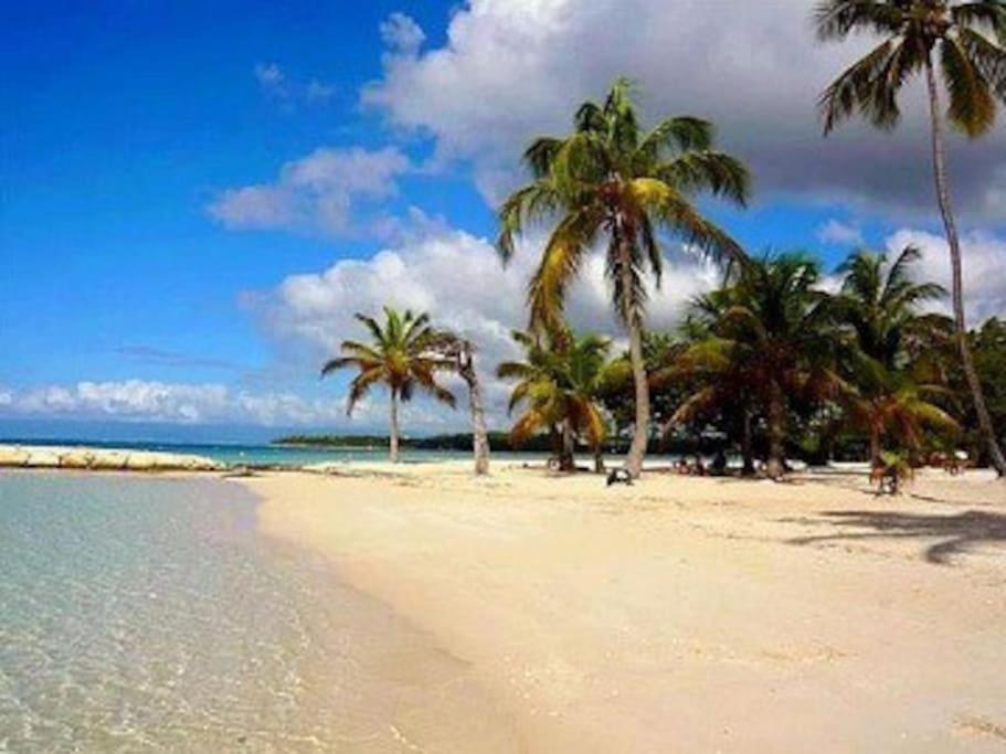 La Playa - L'Appartement Cozy - 2 A 5 Personnes Сент-Анн Экстерьер фото